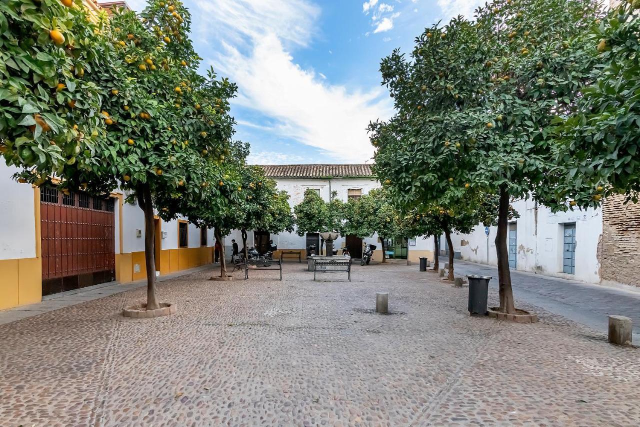 Appartamento Bhost - Regina VI Cordova Esterno foto